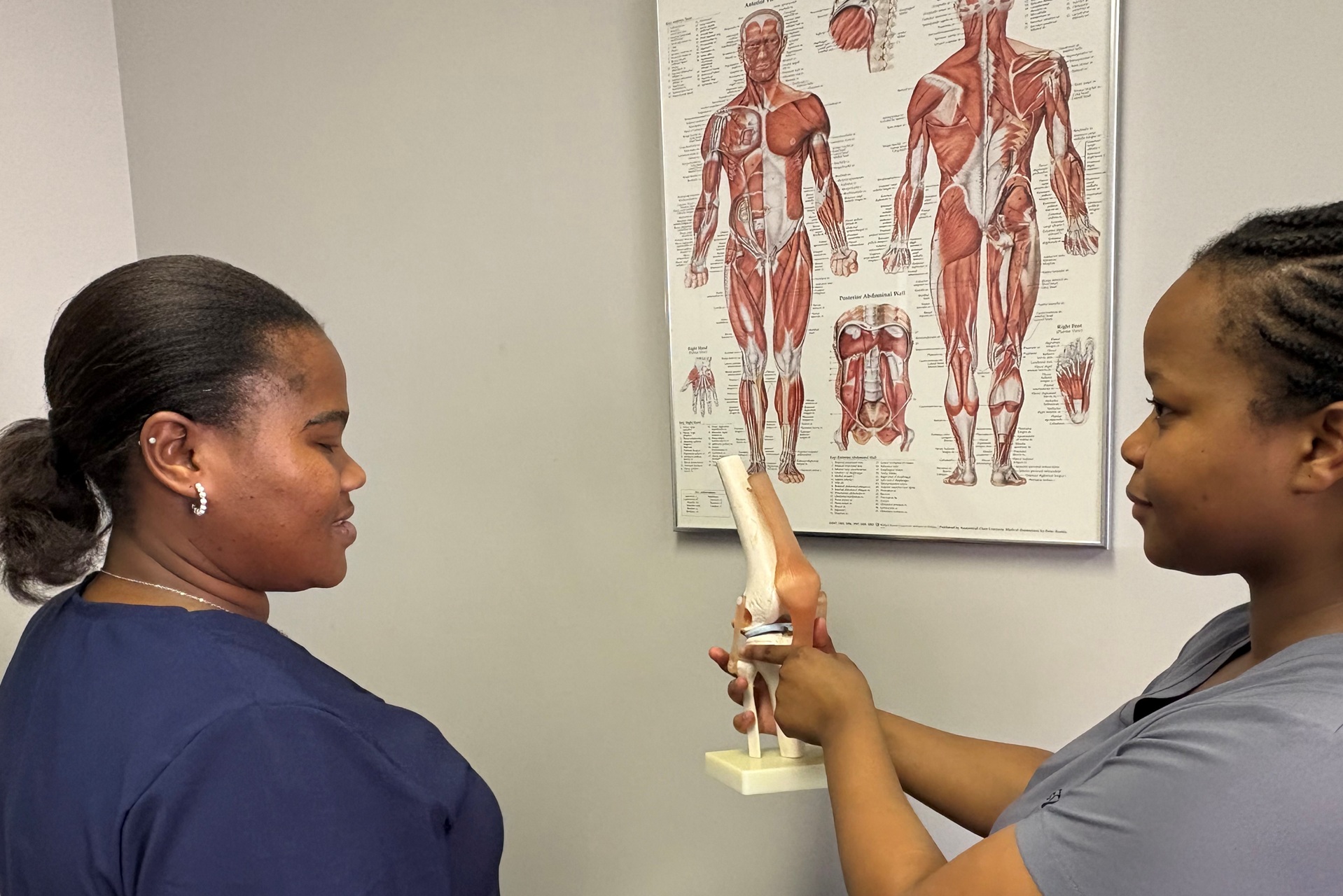About Lamberti Physiotherapy