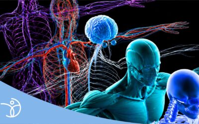 What is Neuromusculoskeletal Physiotherapy and how can it help?