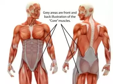 Back-health-core-muscles